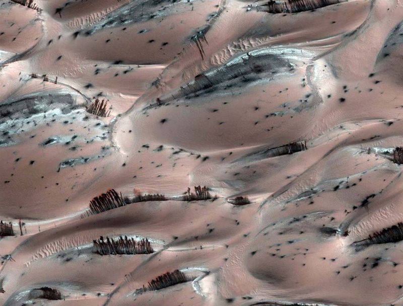Это изображение опубликовано 11 января, однако сделано ещё 7 апреля 2008 г. Аппарат Mars Reconnaissance Orbiter запечатлел оптический обман: иллюзию растительных образований, поднимающихся из марсианской поверхности. Фактически же темные полосы - это осыпи более тёмного песка с в гребней дюн.