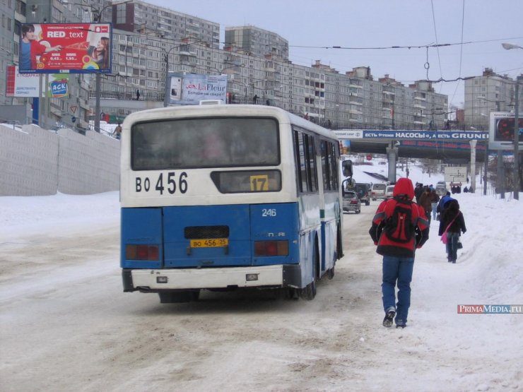 Снегопад во Владивостоке (18 фото)