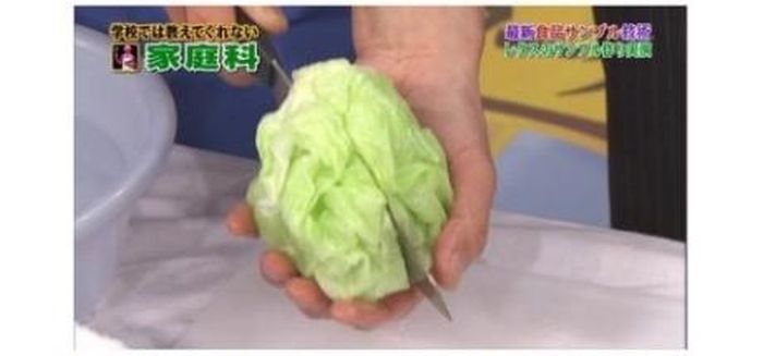 Поддельная китайская капуста (8 фото)