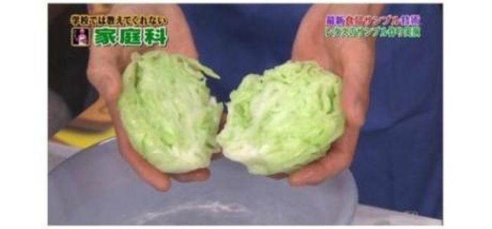 Поддельная китайская капуста (8 фото)