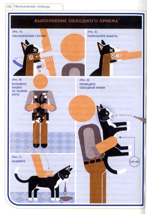 Инструкция по эксплуатации кошек (7 фото)