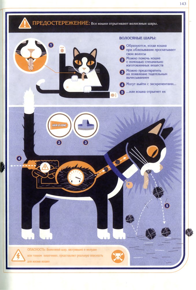 Инструкция по эксплуатации кошек (7 фото)