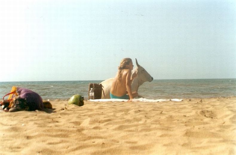 Пляж в Гоа (35 фото)