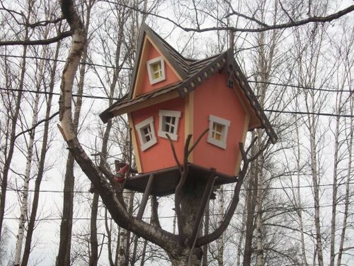 Дом на дереве (6 Фото)