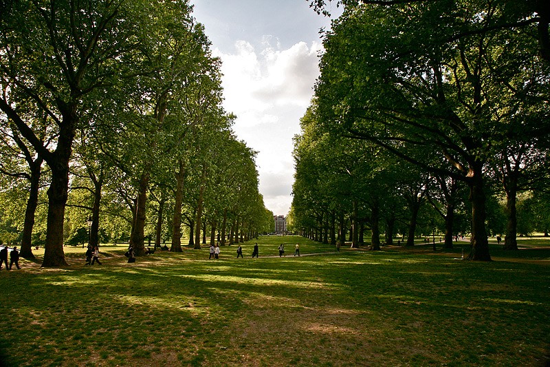 Парков в Лондоне много, и вообще в целом это очень зелёный город. При чём зелень настолько яркая и сочная, как будто кто-то выкрутил saturation по максимуму. Ещё один парк - Green Park, находится прямо у Букингемксого дворца.