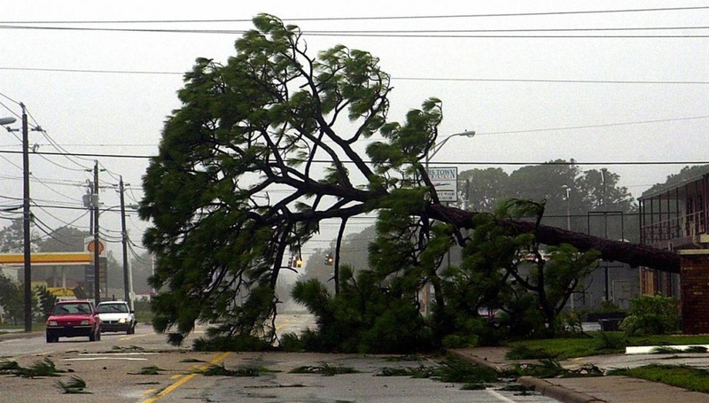Улицы Тутсвилля и других юго-восточных городов штата Флорида были завалены после урагана Фрэнсис, достигшего побережья 2 сентября 2004 года. Сильный ветер и дождь продолжались несколько дней. Ураган Фрэнсис принес убытков почти на $10 миллиардов. (Bruce Weaver/AFP/Getty Images)