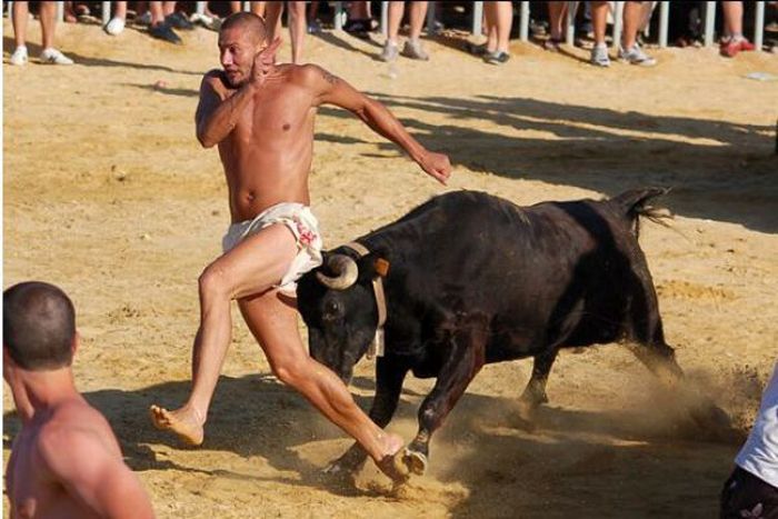 Бег с быками на празднике Святого Фермина в Памплоне (25 фото)