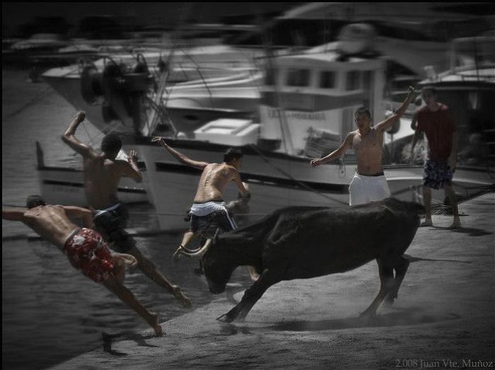Бег с быками на празднике Святого Фермина в Памплоне (25 фото)