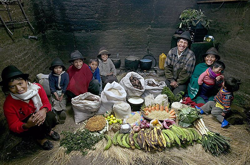 10) Эквадор: семья Эме из Тинго  Расходы на питание в течение одной недели: $ 31,55 Семейный рецепт: картофельный суп с капустой