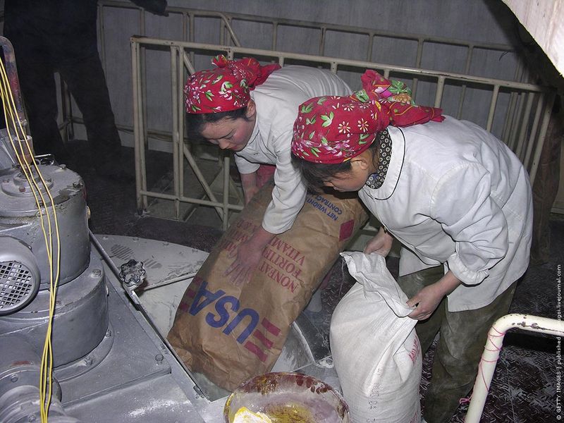 Весной 2005 г. КНДР начала испытывать большие проблемы с продовольствием, стране вновь угрожал голод. На просьбу о помощи отреагировала Всемирная продовольственная программа, с помощью которой в Северную Корею стала поступать помощь из разных стран. На этом снимке работницы завода, на котором изготавливают детское питание, засыпают в агрегат сухое молоко, поставленное из США.