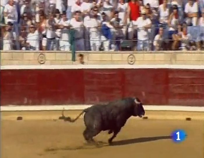 В Испании зрителей корриды покалечил разъяренный бык (видео)