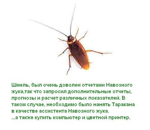 Притча о муравье (12 фото)