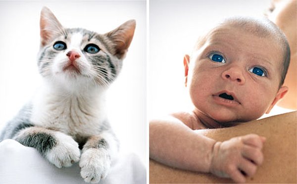 Дети и котята (8 фото)