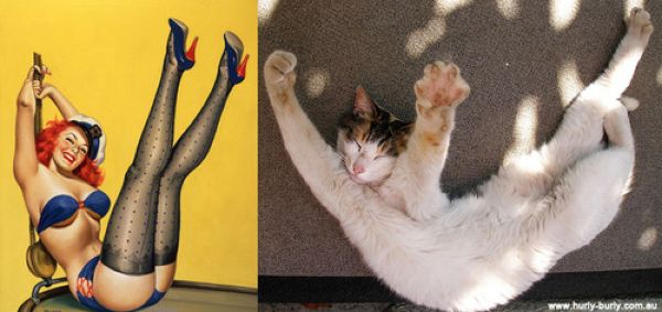 Коты позируют в стиле девушек с пинап-плакатов (19 фото)