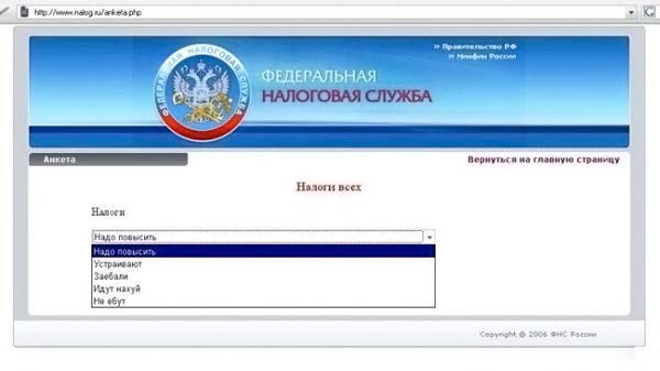 Российские интернетчики всю ночь издевались над сайтом ФНС (9 фото)
