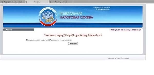 Российские интернетчики всю ночь издевались над сайтом ФНС (9 фото)