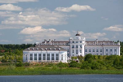 Шикарнейший дворец в Московской области (17 фото)