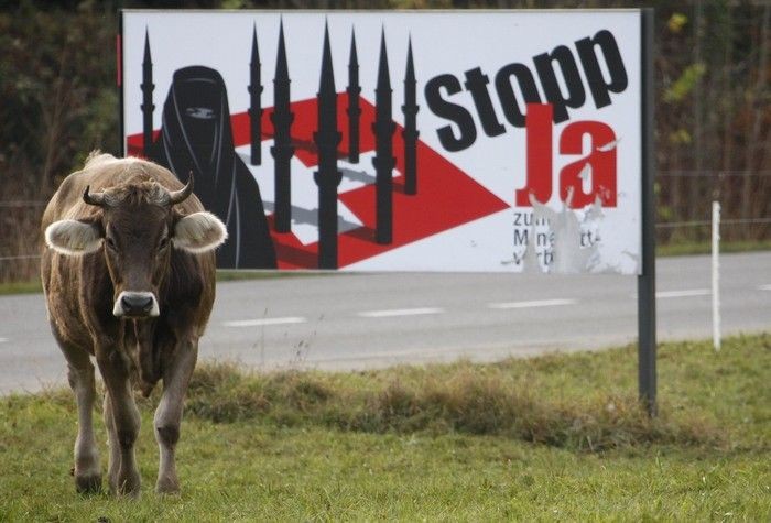 Голосование Швейцарской коровы (3 фото)