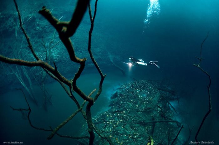 Подводная река (3 фото)
