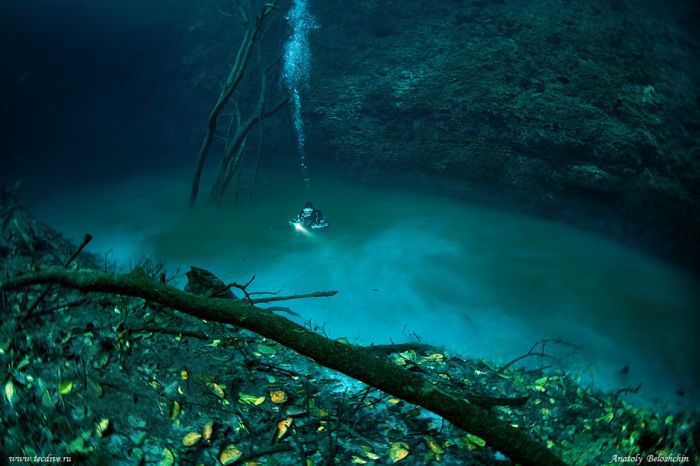 Подводная река (3 фото)