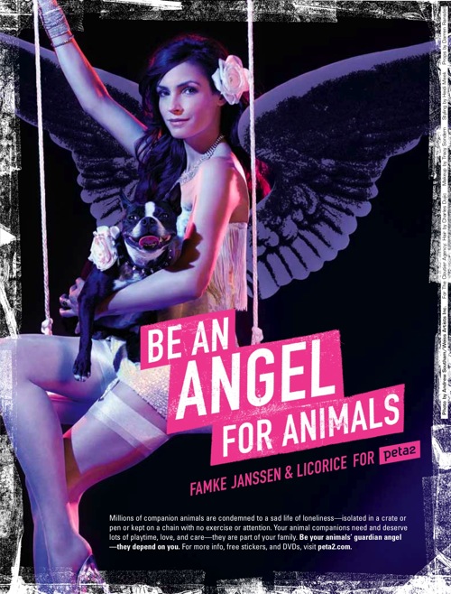 Фамке Янссен (Famke Janssen) призывает стать ангелом для своих животных, подарить им внимание и любовь.