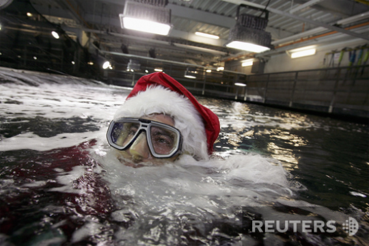Дайвер в костюме Санта-Клауса готовится к погружению в аквариуме Сеула, Южная Корея