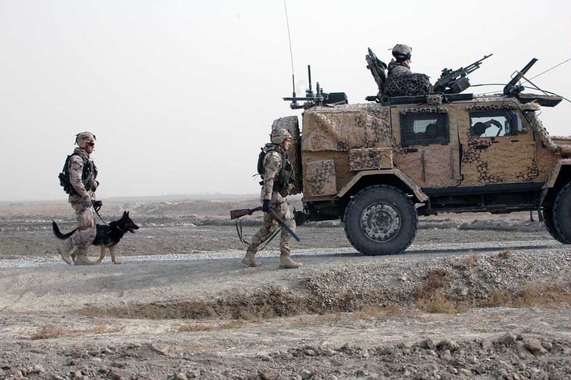 афганистан, великая отечественная, военные, вторая мировая, вьетнам, первая мировая, питомцы, собаки